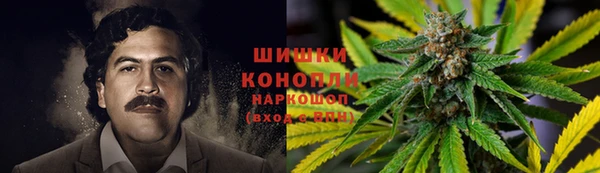 ПСИЛОЦИБИНОВЫЕ ГРИБЫ Балабаново