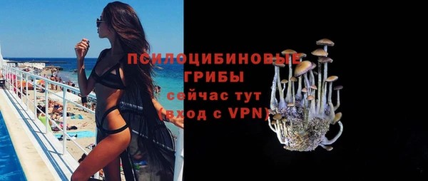 ПСИЛОЦИБИНОВЫЕ ГРИБЫ Балабаново