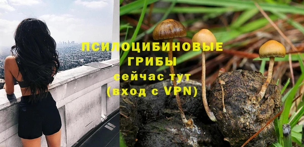 mix Баксан