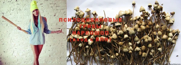 mix Баксан