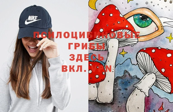 ПСИЛОЦИБИНОВЫЕ ГРИБЫ Балабаново
