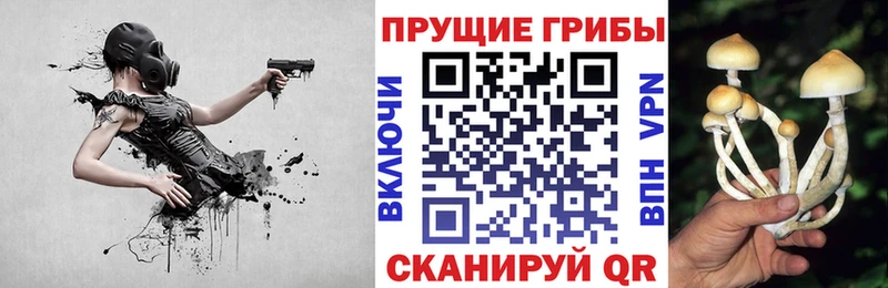 купить наркотик  Армавир  MEGA ссылка  маркетплейс официальный сайт  Галлюциногенные грибы мицелий 